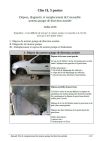 Clio 2, 1,9 litres, remplacement moteur-pompe de direction assistée. PDF, 12 pages